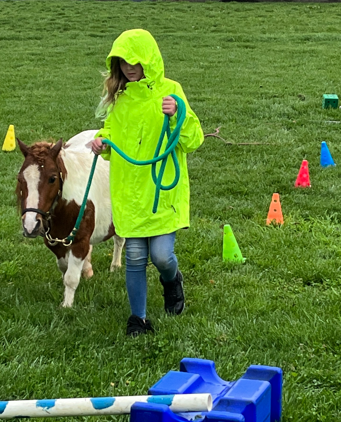 Stable Moments Mobile Pony Visit 2