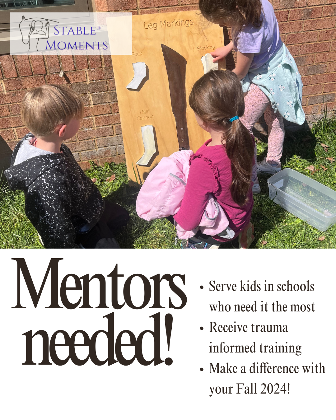 Stable Moments Mentors Needed