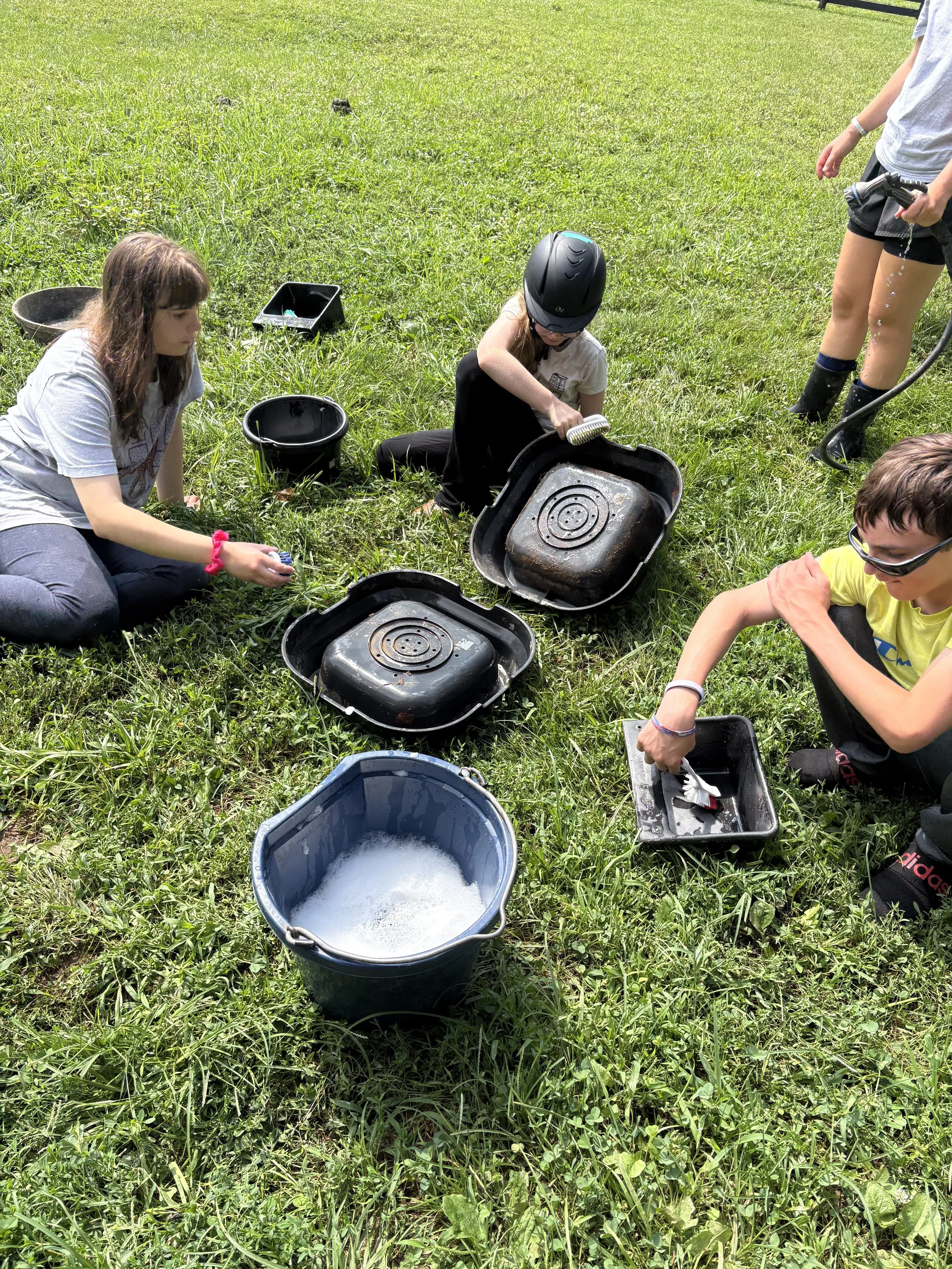 What Happens When a Child Gets to "Own" a Horse for a Week?