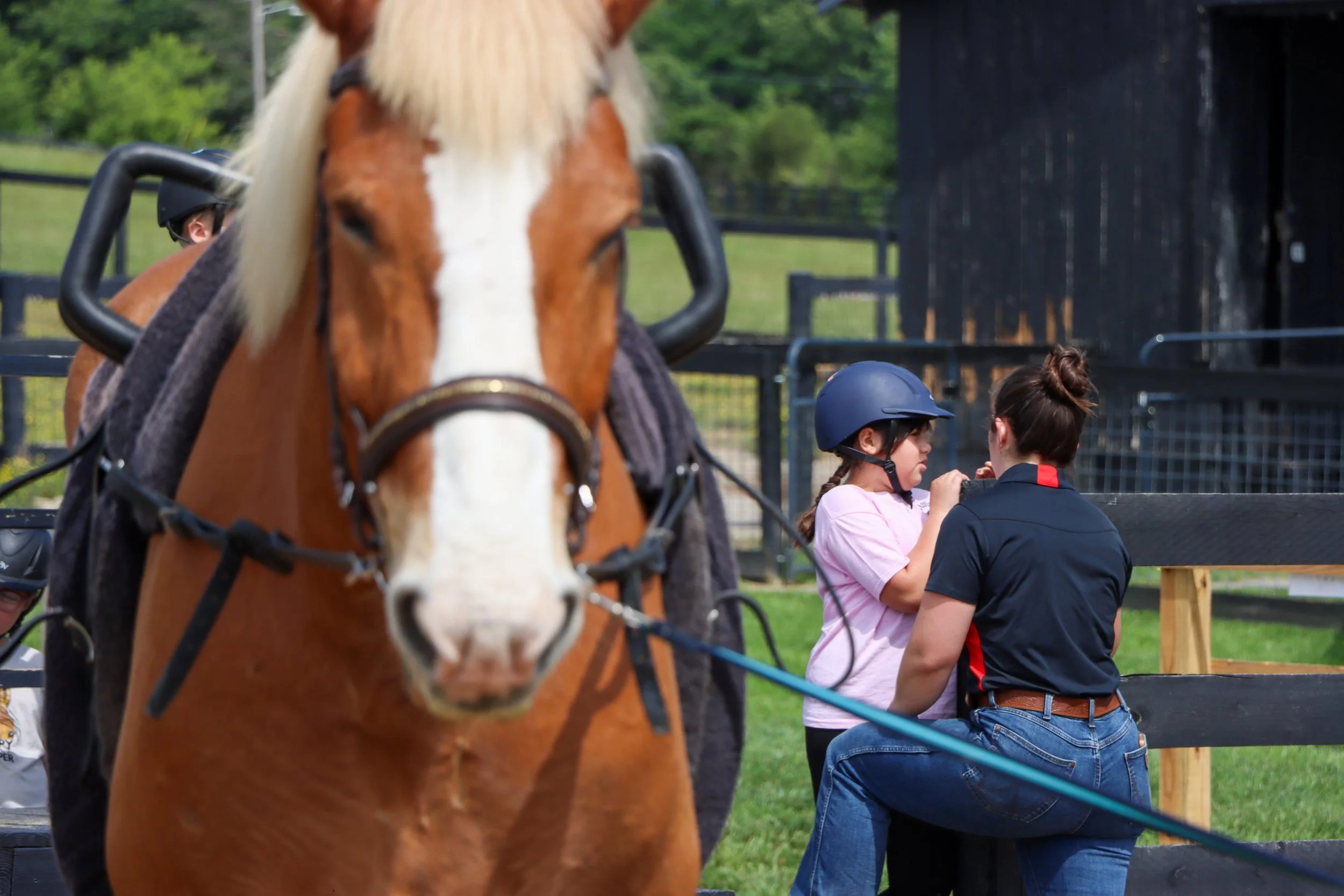 Ella, Vaulting-1.jpg