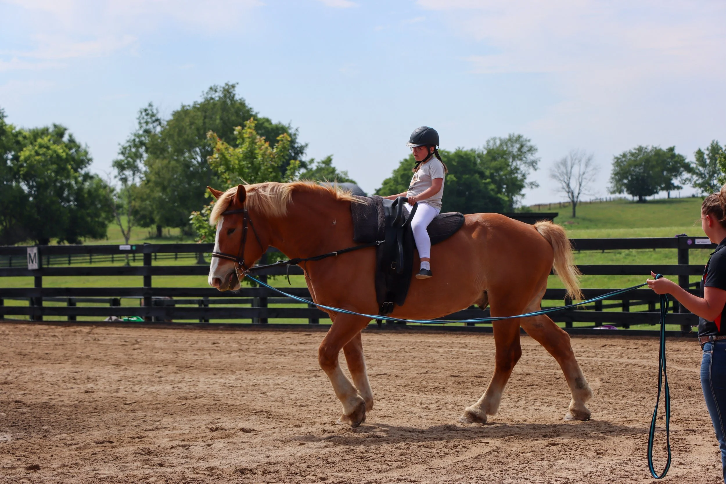 Amelia, Vaulting-4.jpg