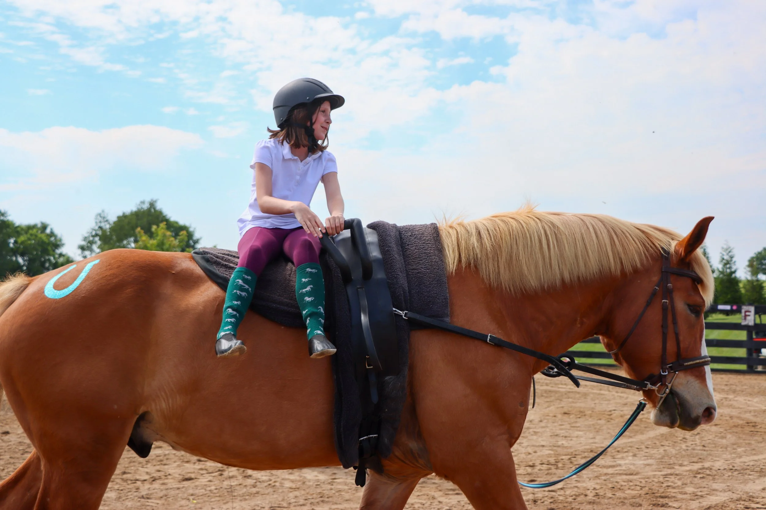 Amelia, Vaulting-2.jpg