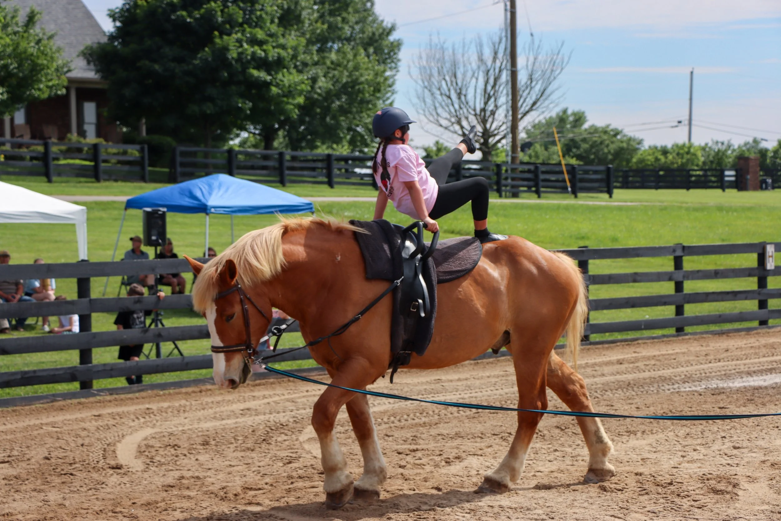 Ella, Vaulting-3.jpg