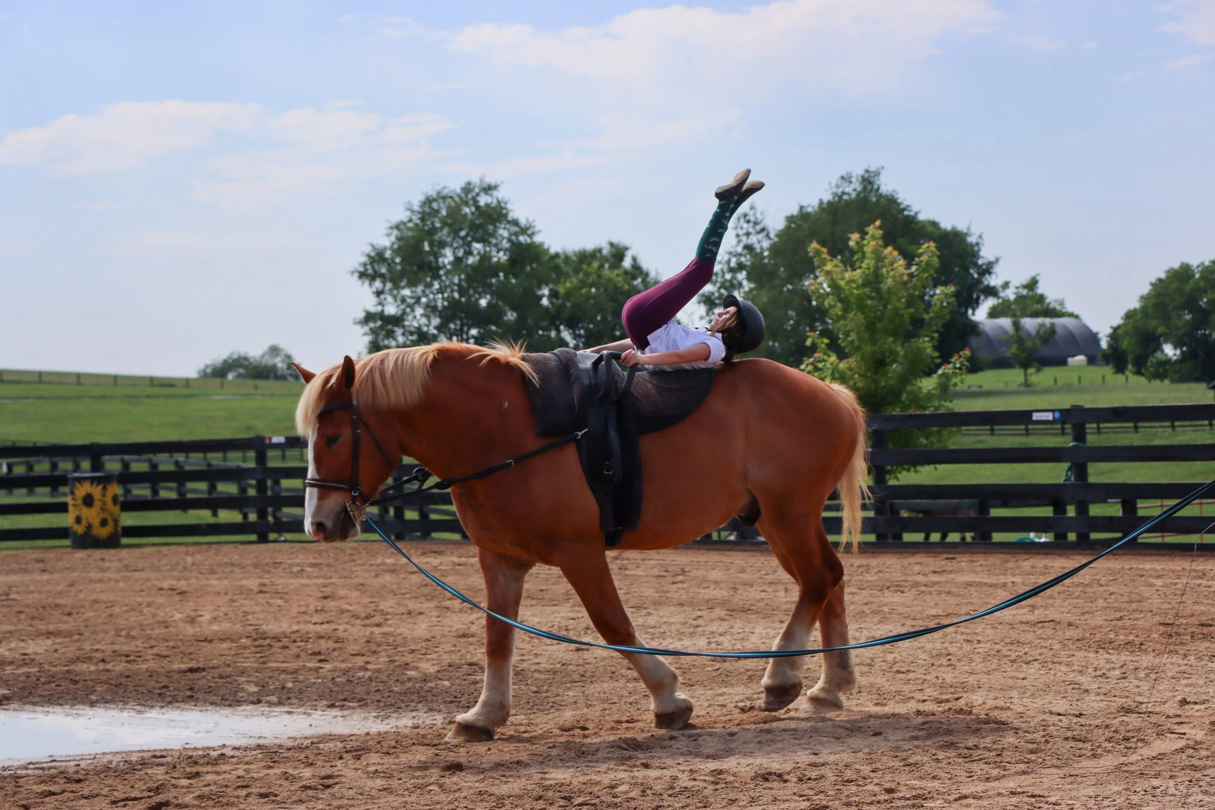 Amelia, Vaulting-1.jpg