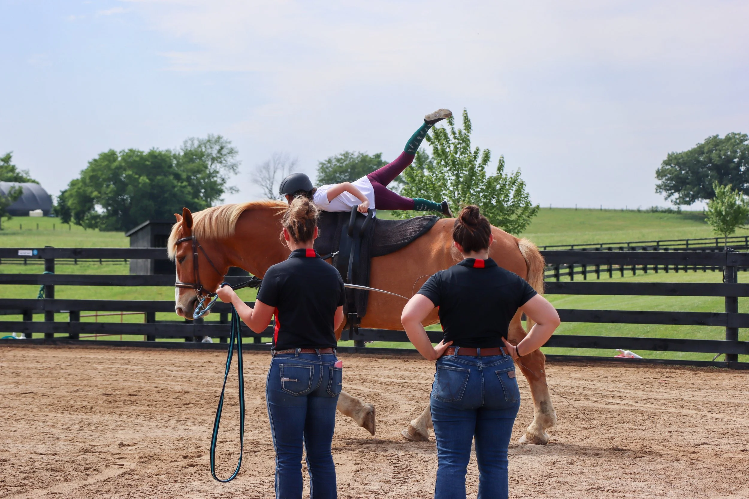 Amelia, Vaulting-3.jpg