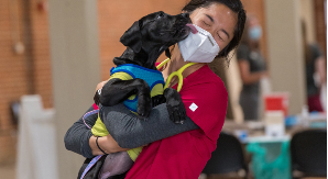 Veterinary Paraprofessional Certificates: Washington State University