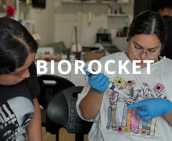 Biorocket Research Internship