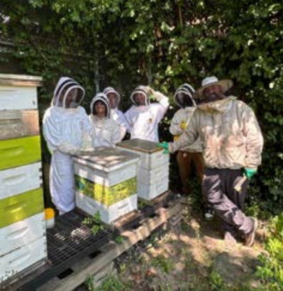 BEE Cause Apprenticeship