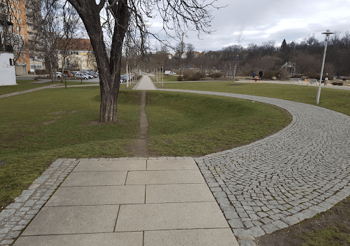 Desire Paths: When Teams Carve Their Own Route — SETH SIVAK