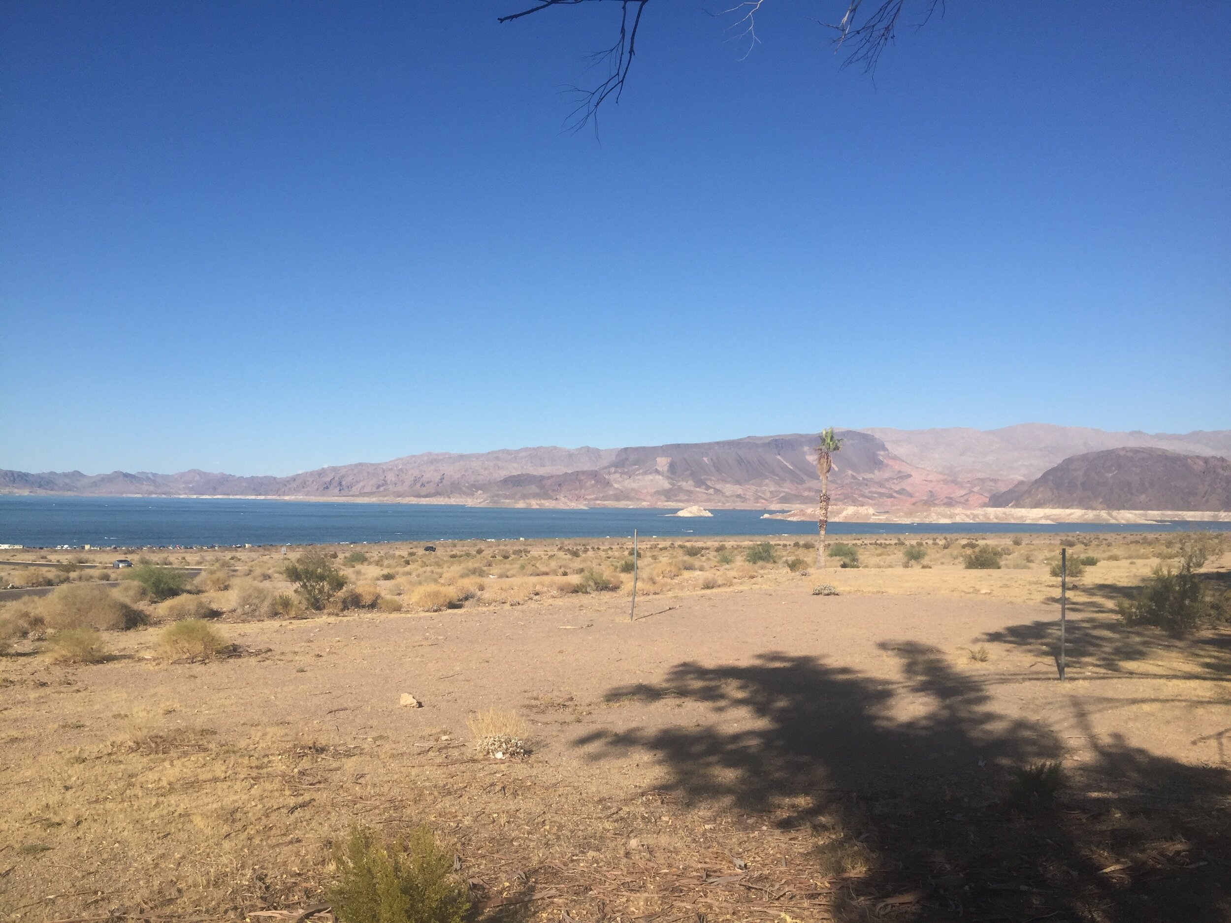 Civil War/War with China now seems inevitable