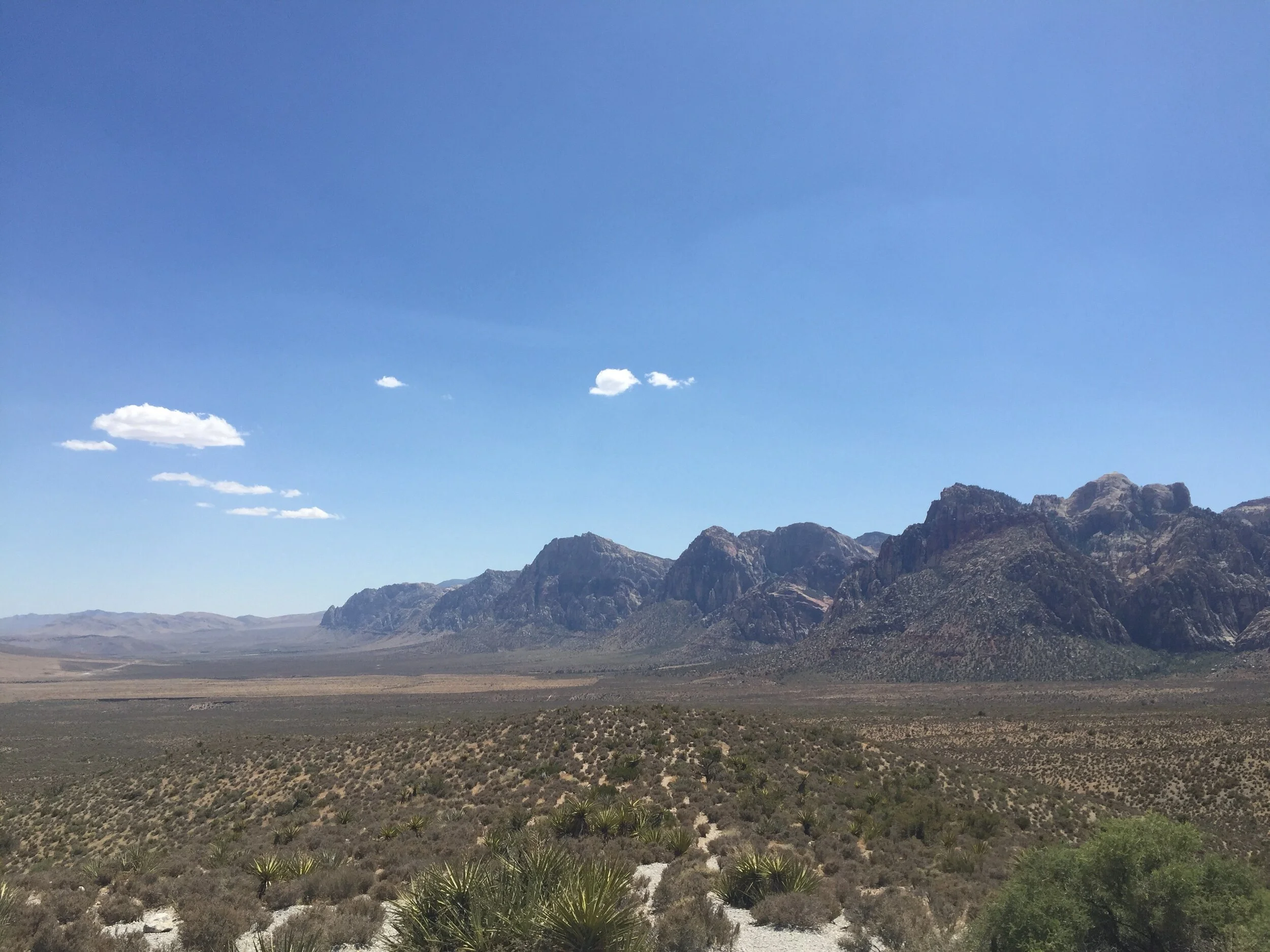 (Barely) Surviving 2020