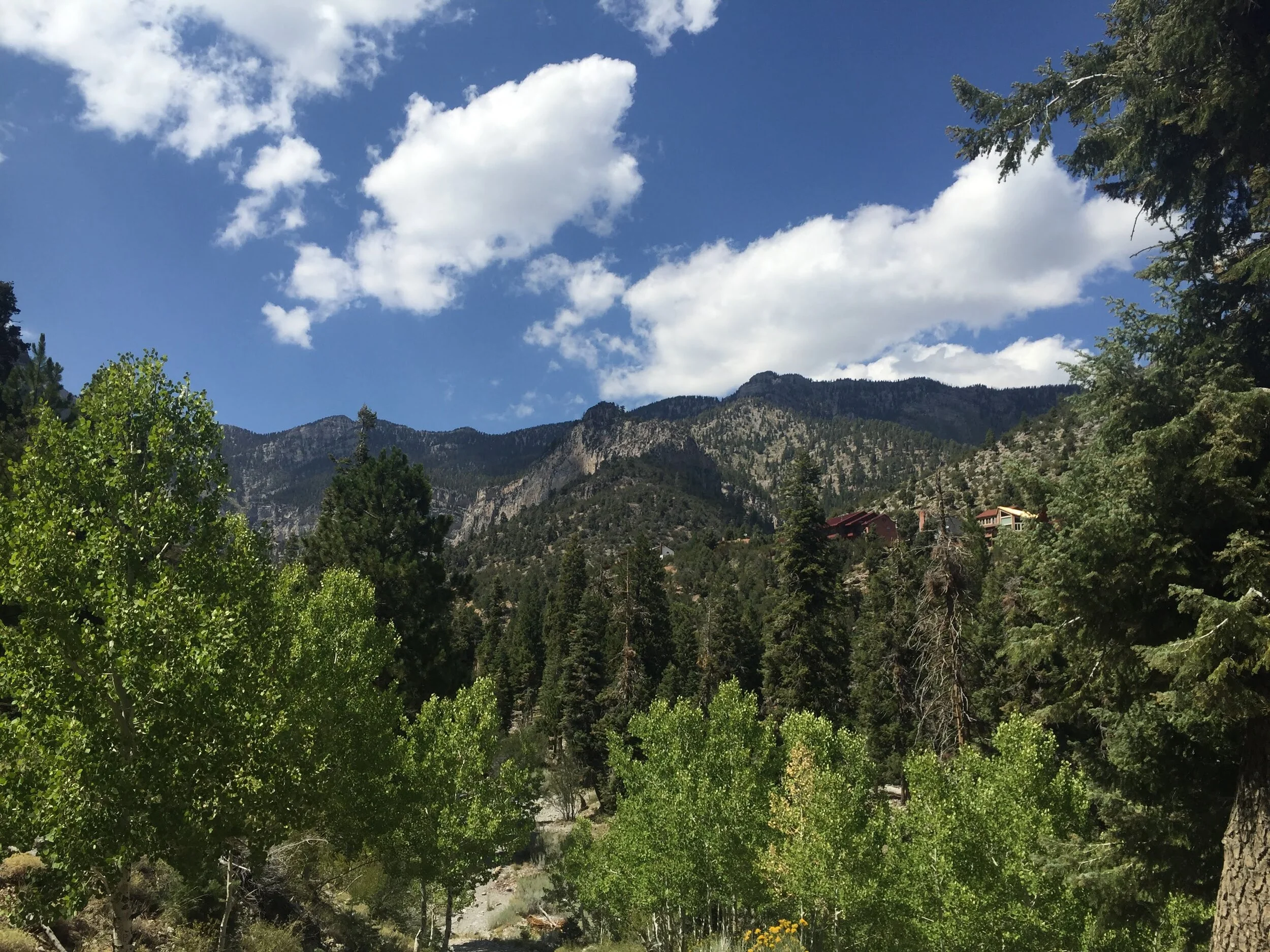 Clouds Reflected in a Mirror