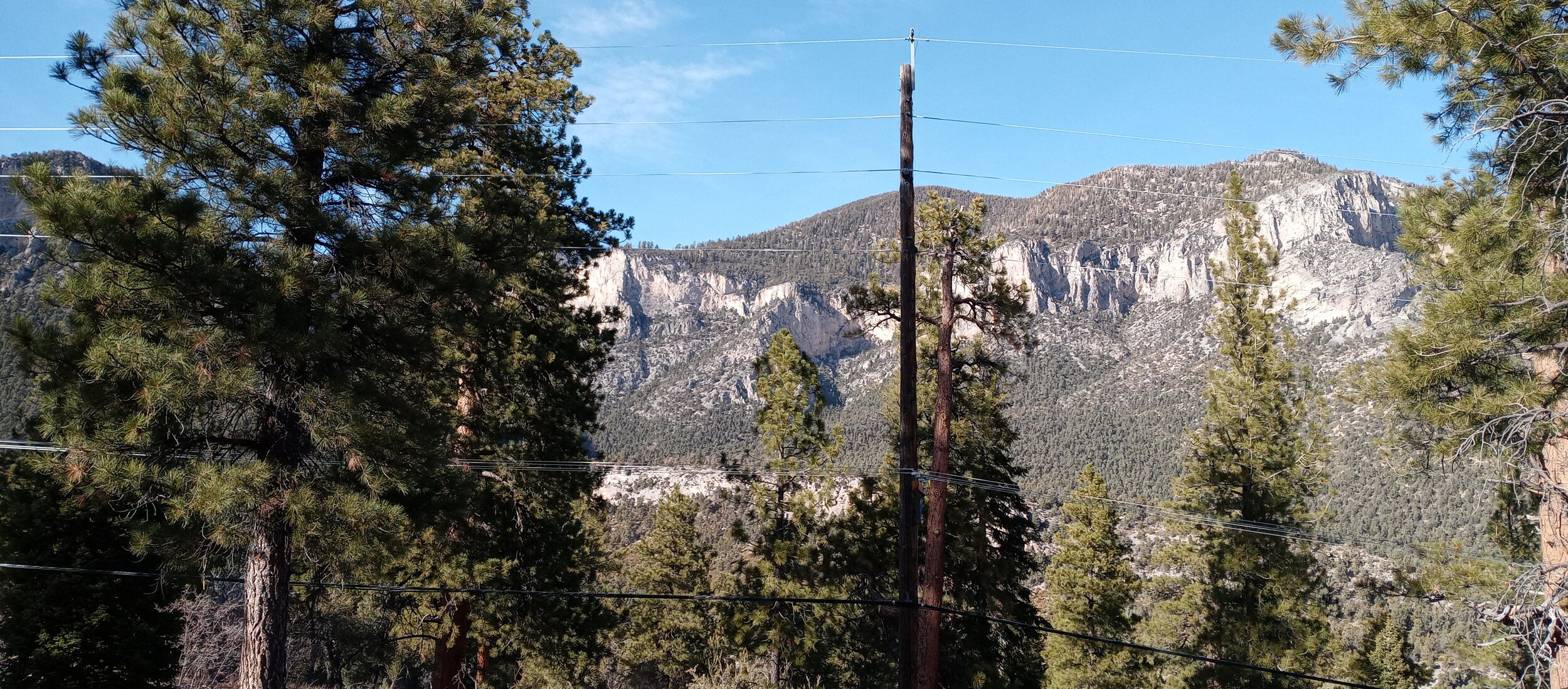 We’re Never Getting the Old World Back. And That’s Okay.