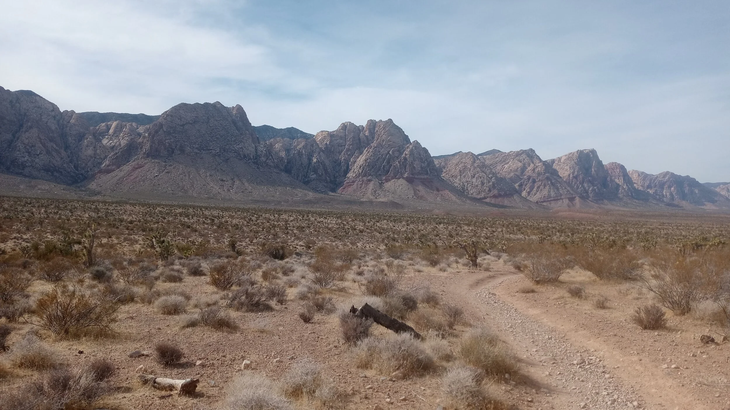 Radical Self-Acceptance