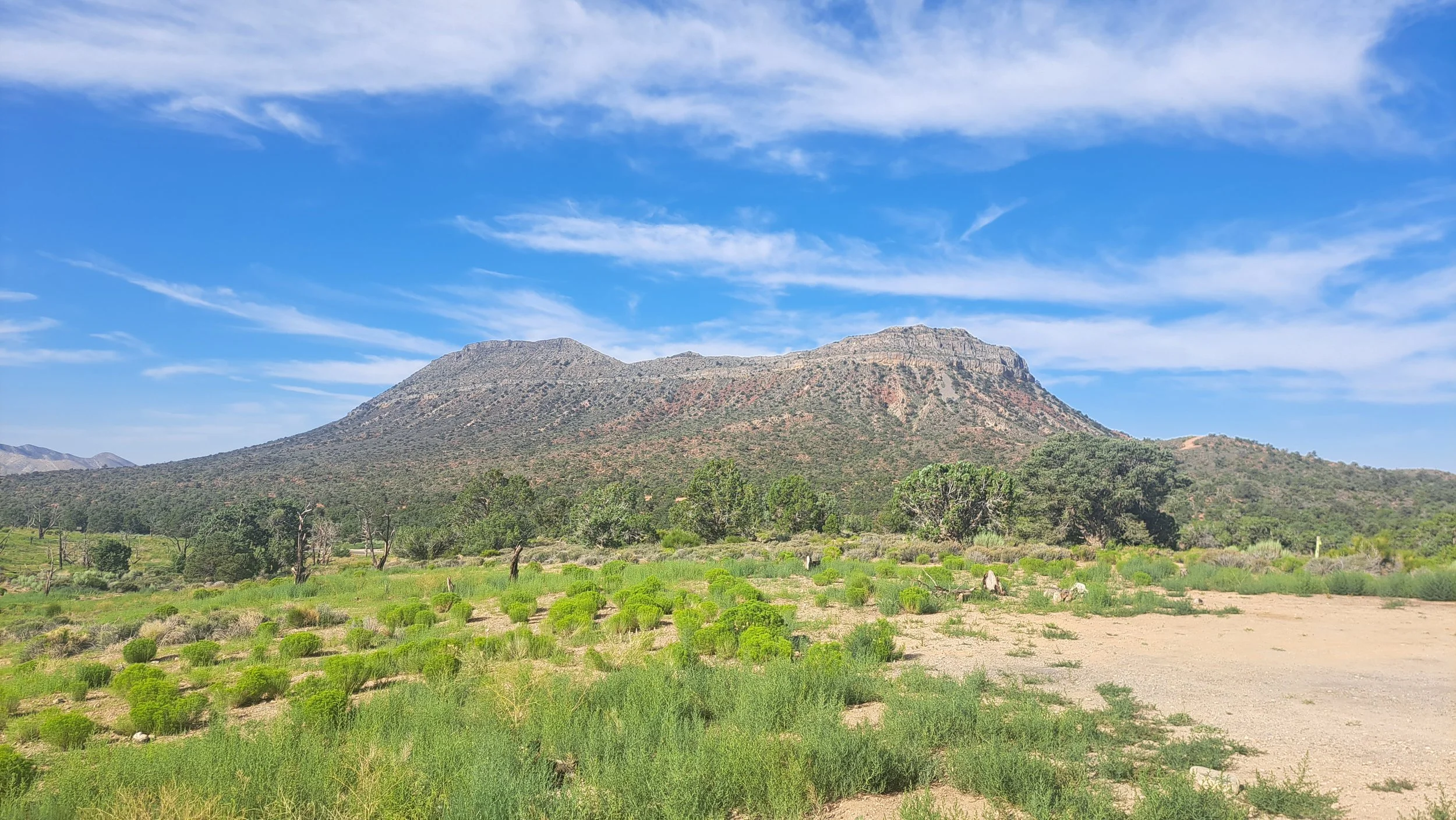 I’m not sure I exist.