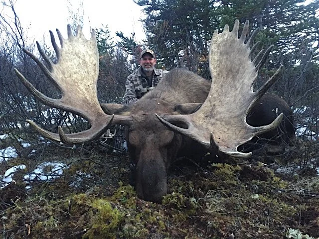 Hunting guest with trophy Canadian moose.