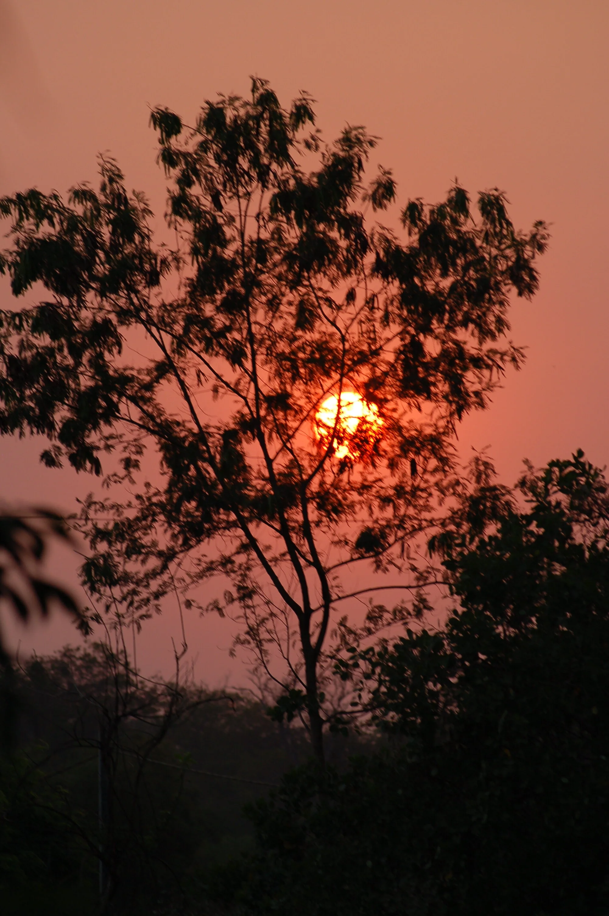 DSC_0701.JPG