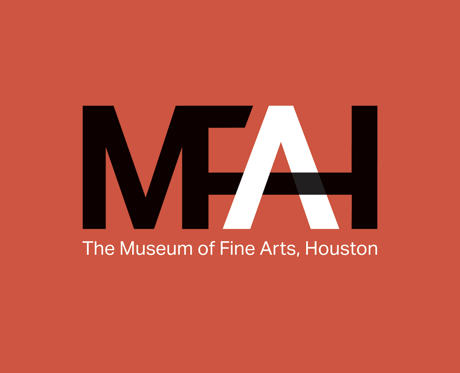 Tools for the Future: A Talk with Aspen Golann