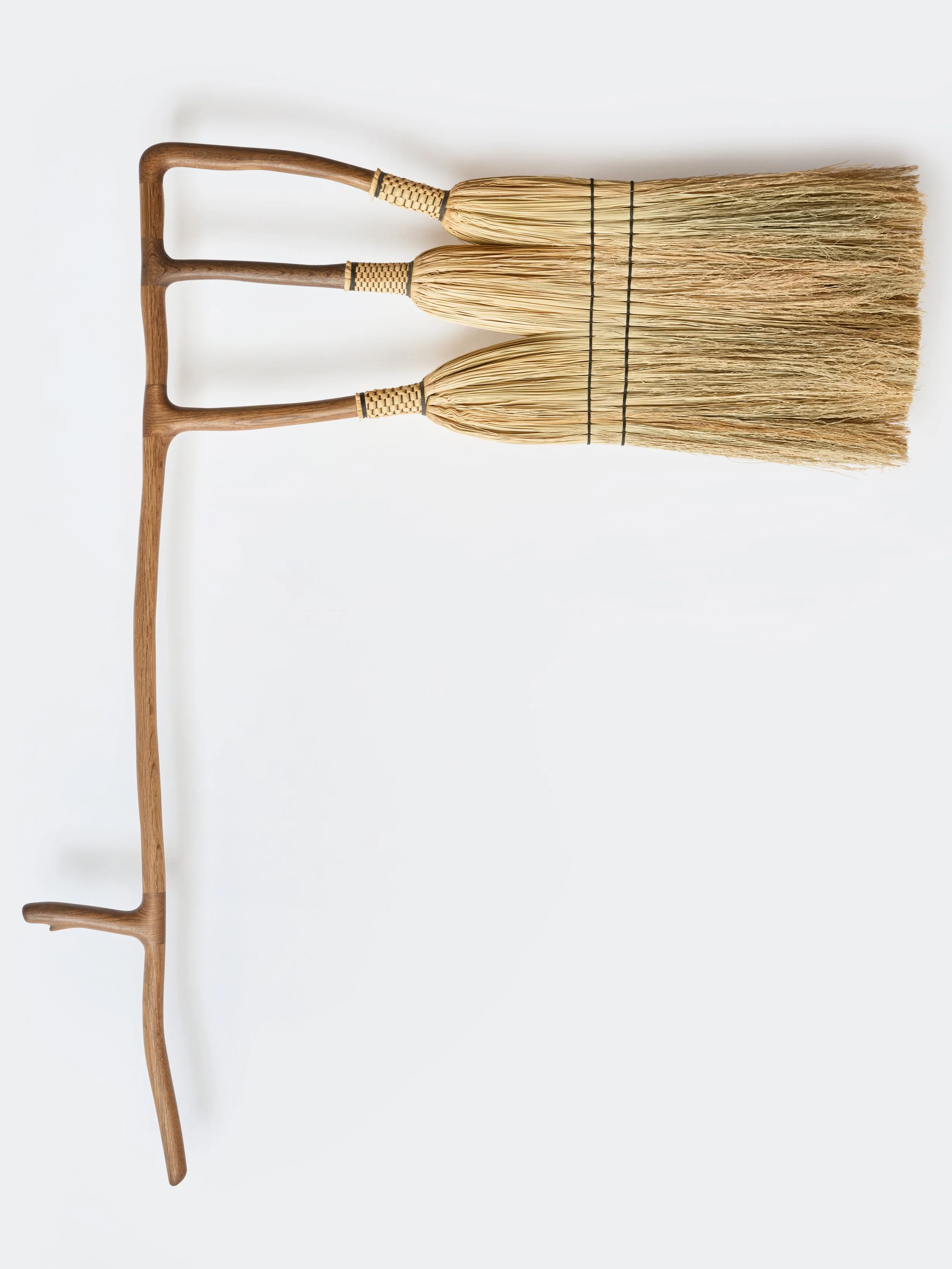 Fruiting Broom