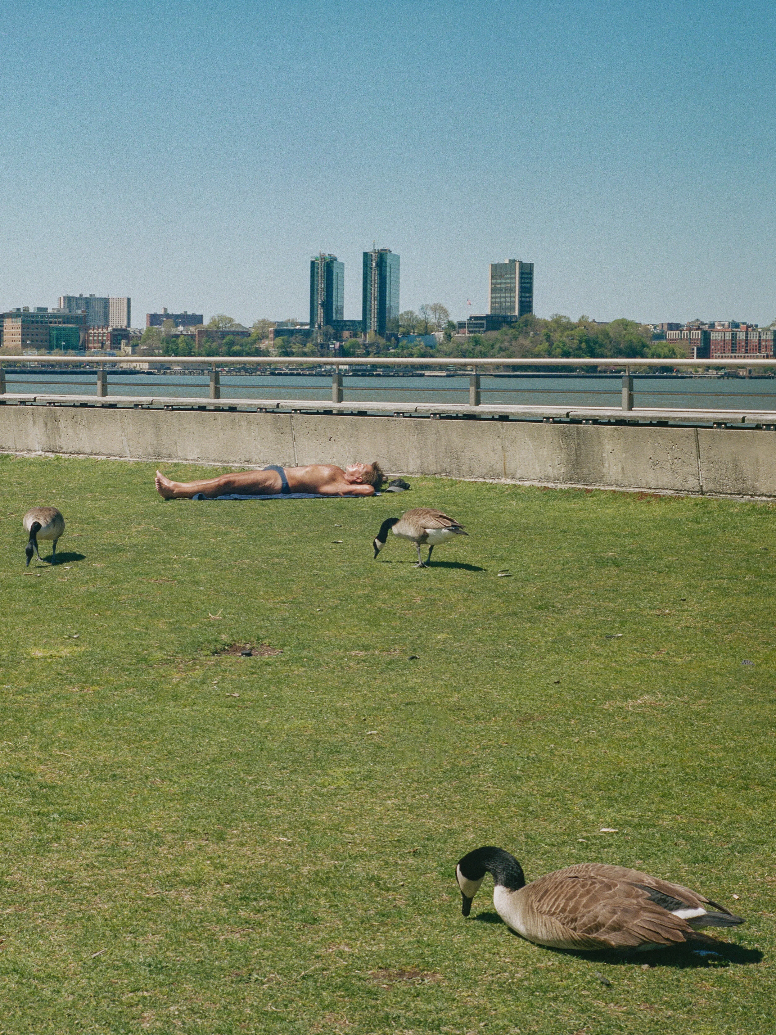 000094900007 copy.jpg