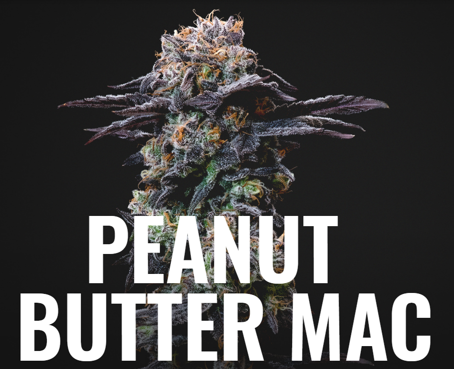 BLKMKT Peanut Butter Mac — Higher Limits Cannabis Company