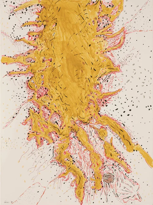 Eskimo Land and Sea Map 1 - 1971