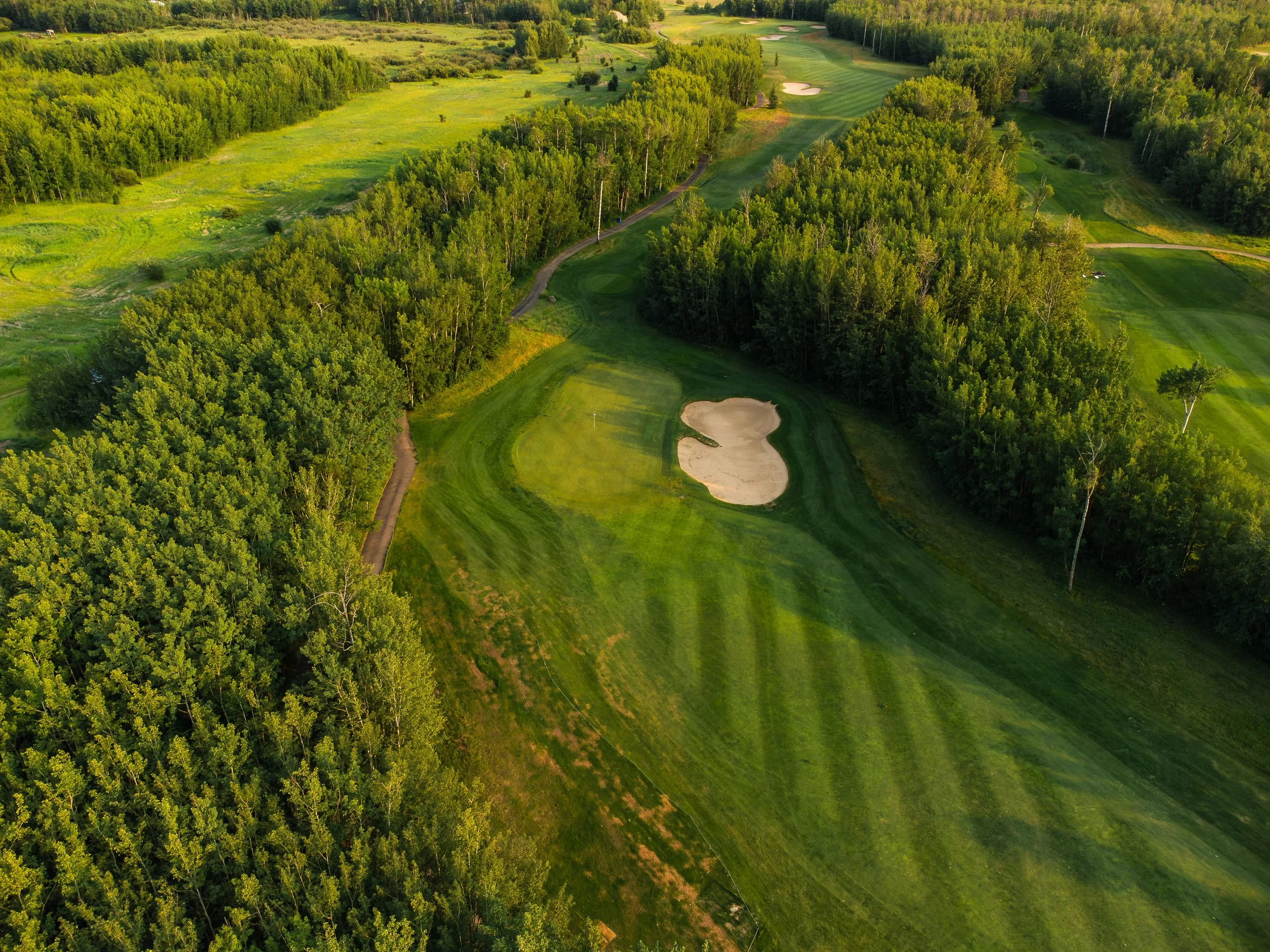 PlayGolfCanada_NorthernBear_Photography-6.jpg