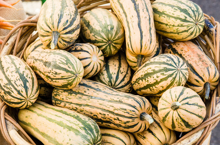 Delicata Squash.png
