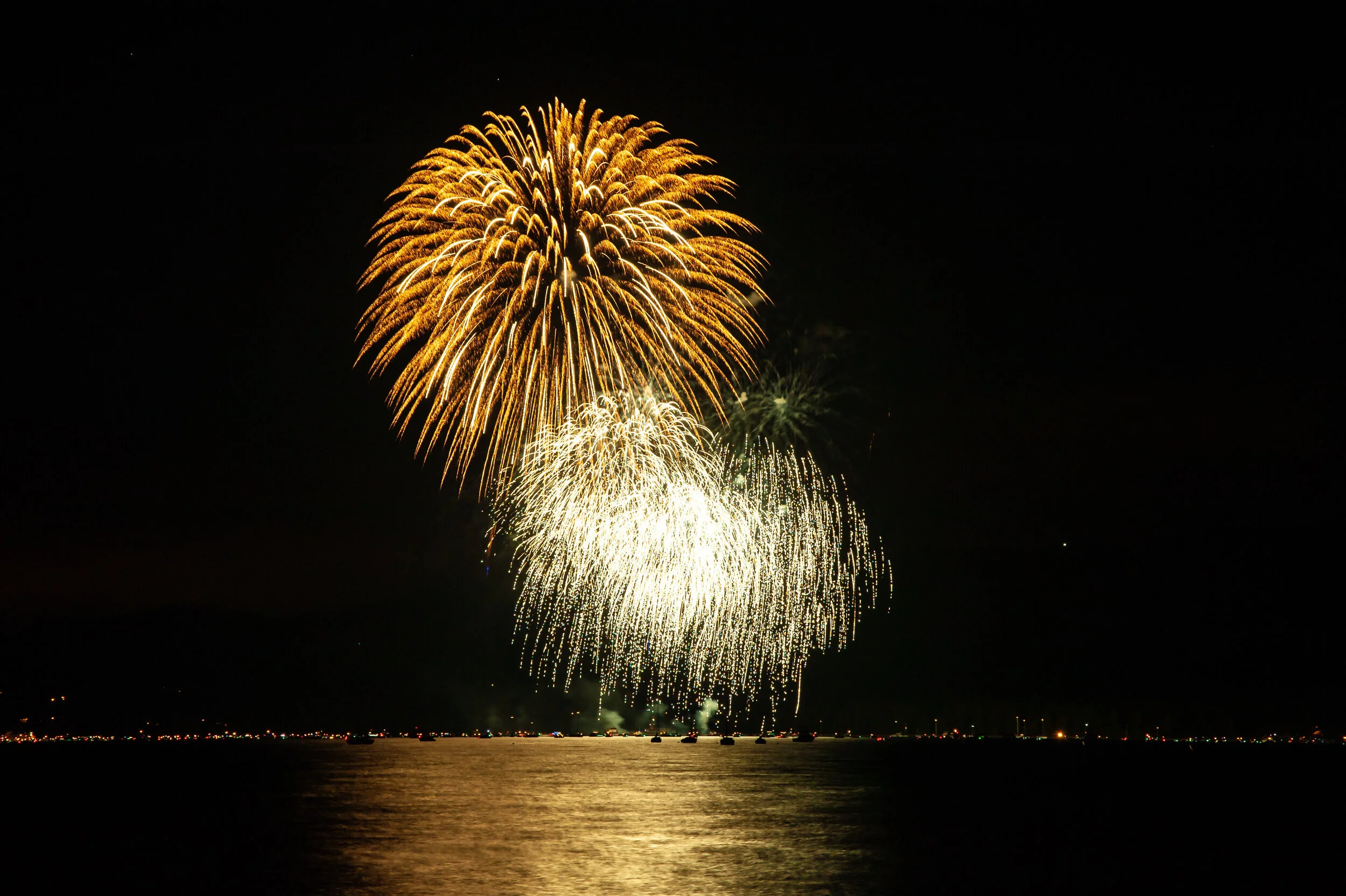 Happy 4th of July! What do experts expect in the second half of the year?