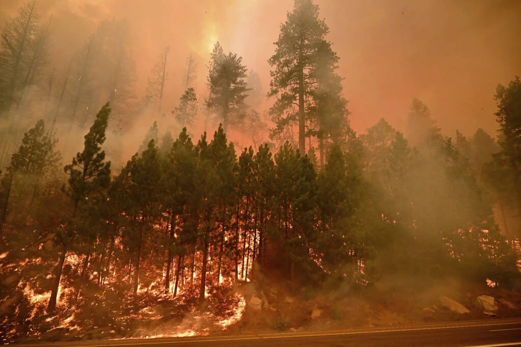 Wildfire Relief and Recovery Funds