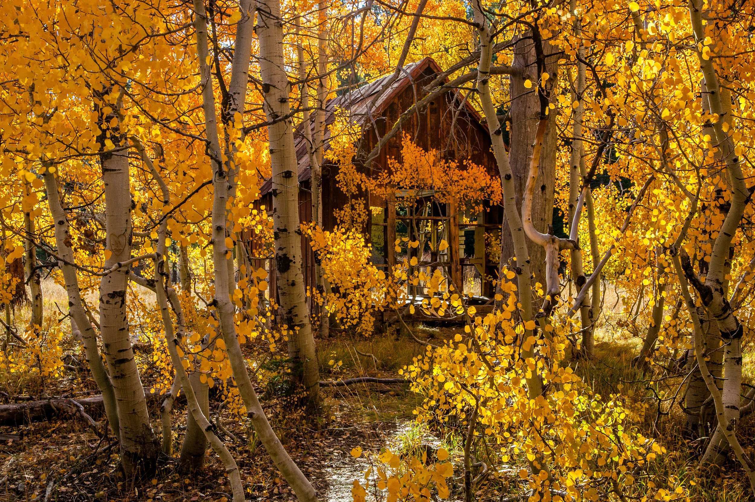Will the Short Term Rental Moratoriums Affect Real Estate in Nevada & Placer Counties?