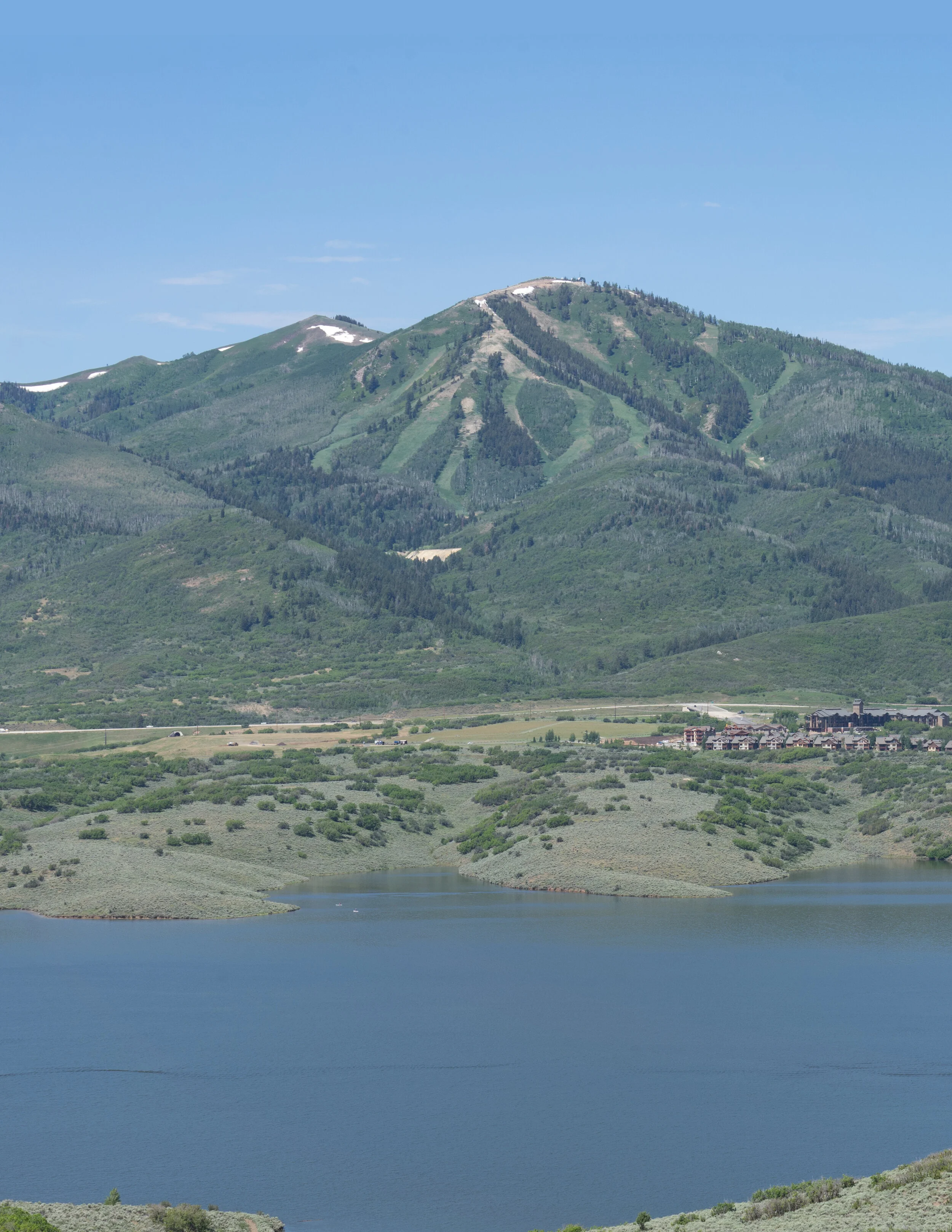 Cover photo summer.jpg