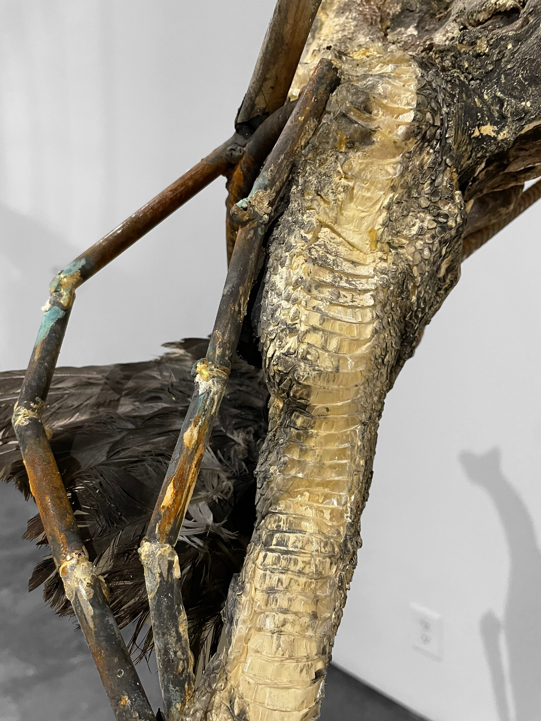 PhotoRoom_000_20220506_231858.PNG
