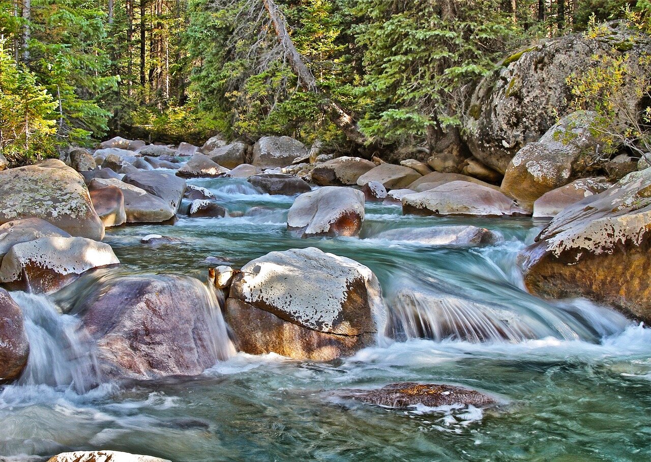 Snake River Music Festival - Silverthorne Art Stroll