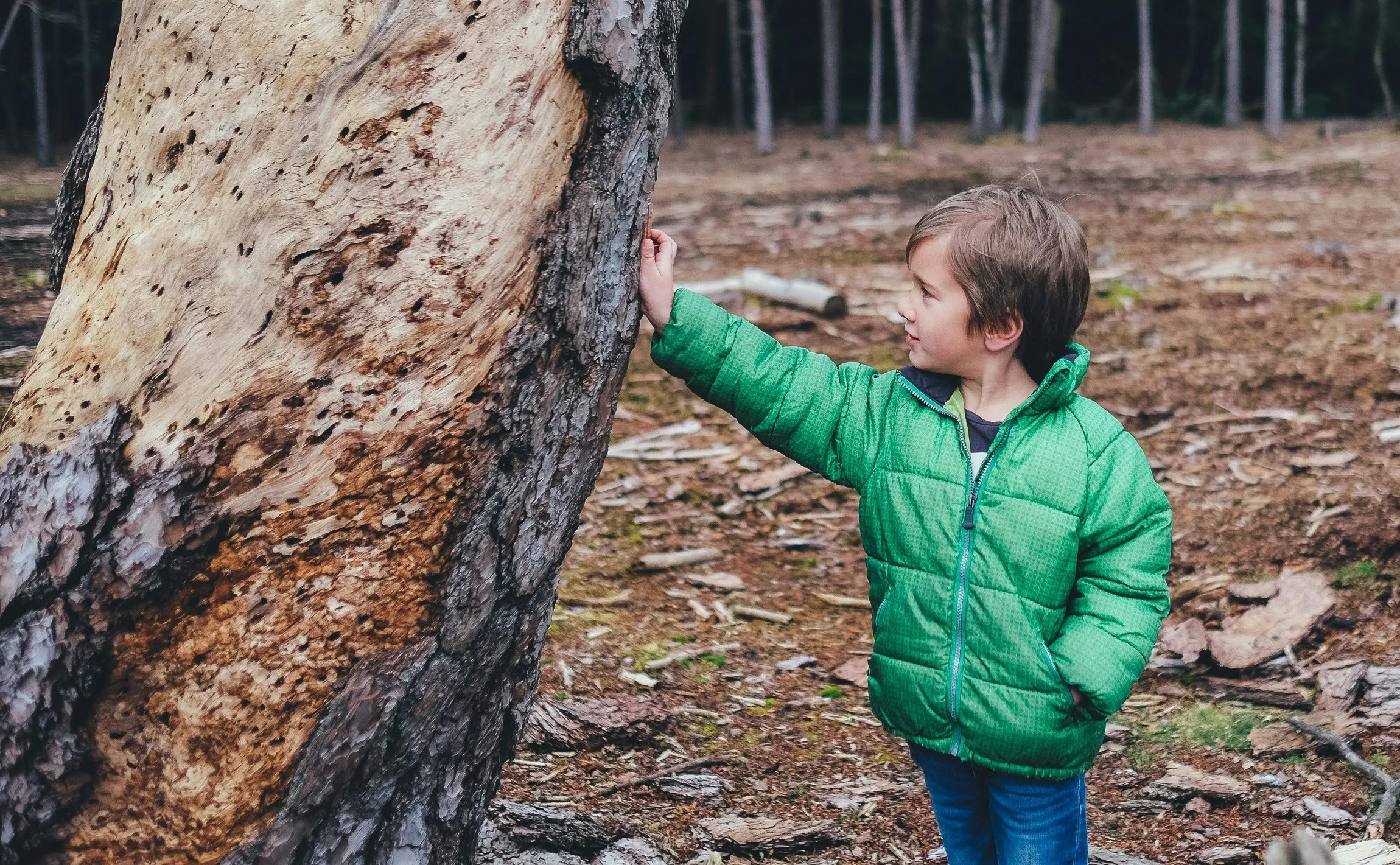 Connecting With Nature .jpg