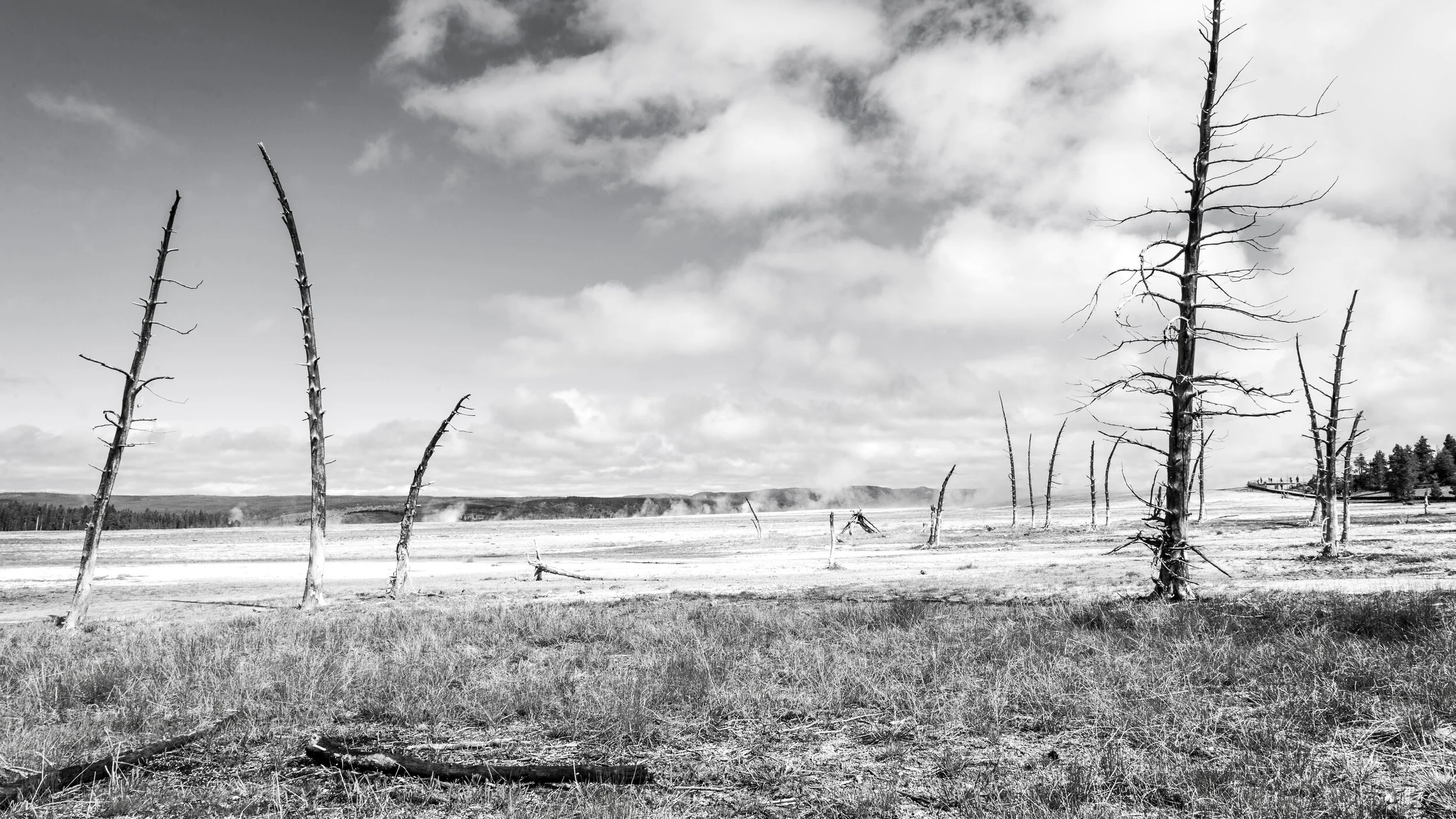 Yellowstone_landscape_1.jpg