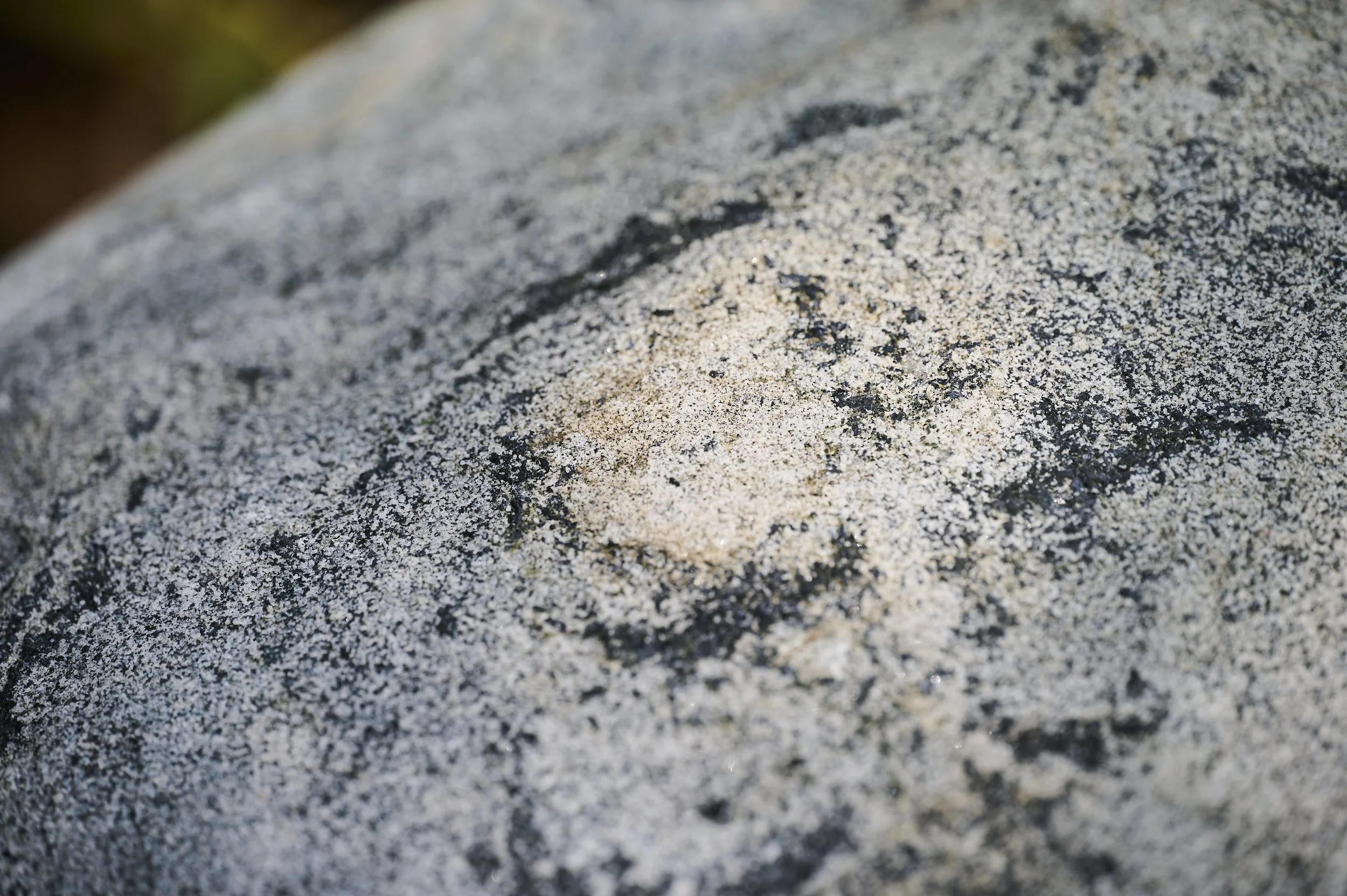 _DSC3128.jpg