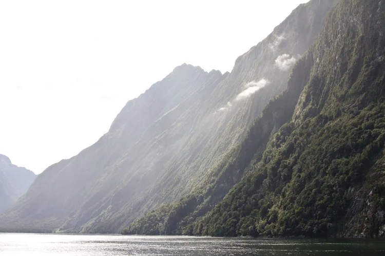 Is Milford Sound Worth Visiting? — Planned Wanderings