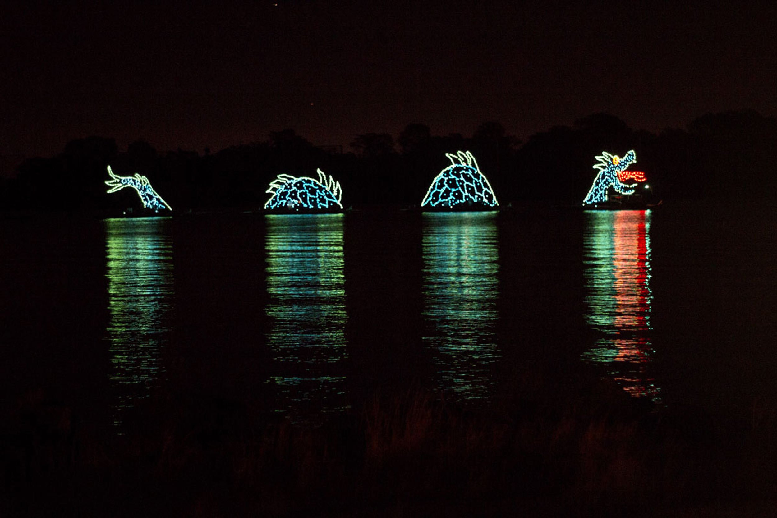 electrical-water-pageant-float-at-disney-resorts