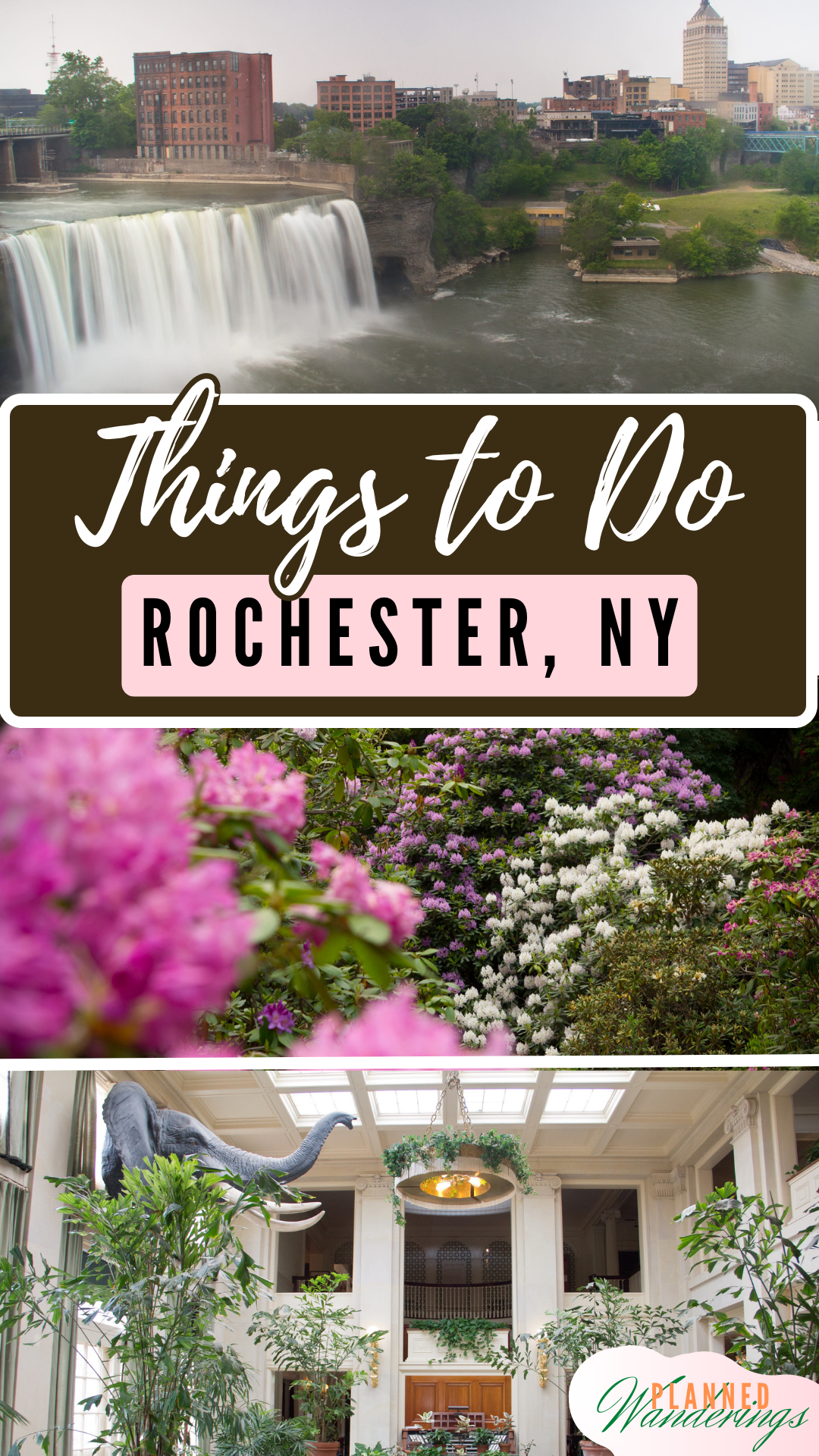 The Best Things To Do In Rochester Ny