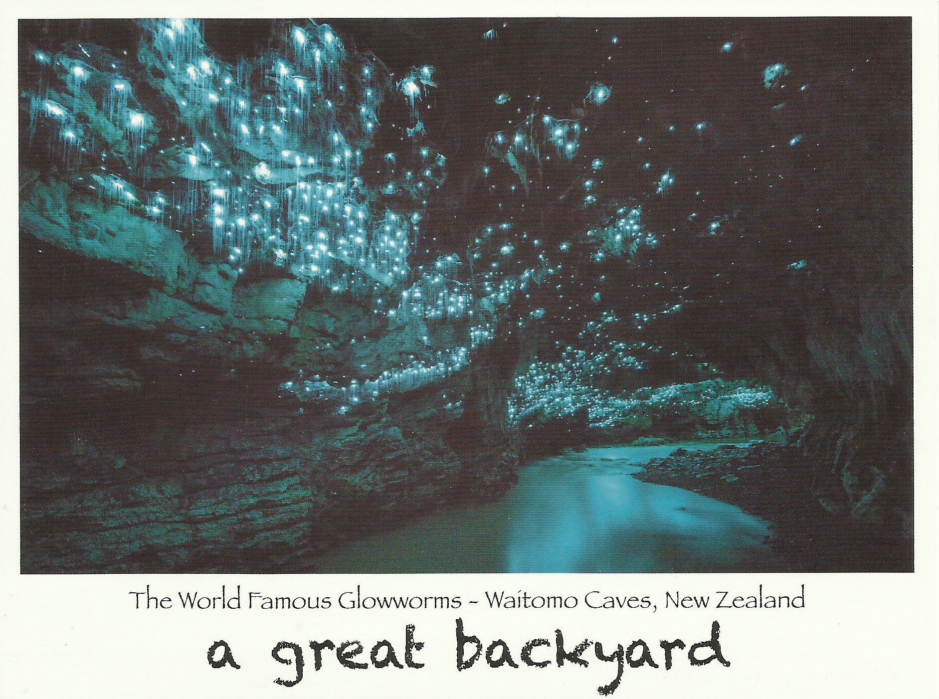 My postcard from our blackwater rafting trip in the Waitomo Glowworm Caves.