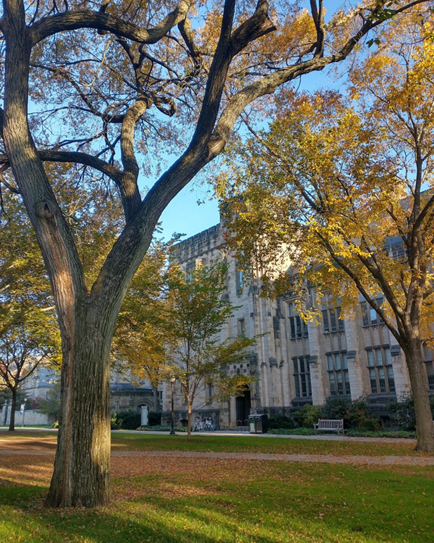 Some shots from Yale University campus and my trip to New Haven, CT.

Click the link in my bio for my article all about visiting New Haven, including where to eat, where to stay, and what to do!

#connecticut #ct #ctvisit #newhaven #newhavenct #yale 