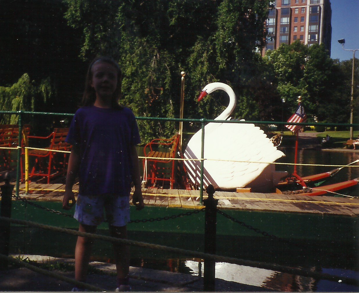 swan-boats-in-boston-commons