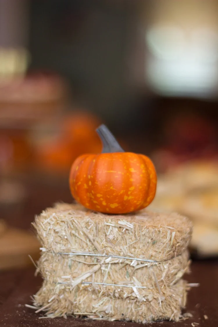 How to Throw a Hobbit Party — Planned Wanderings