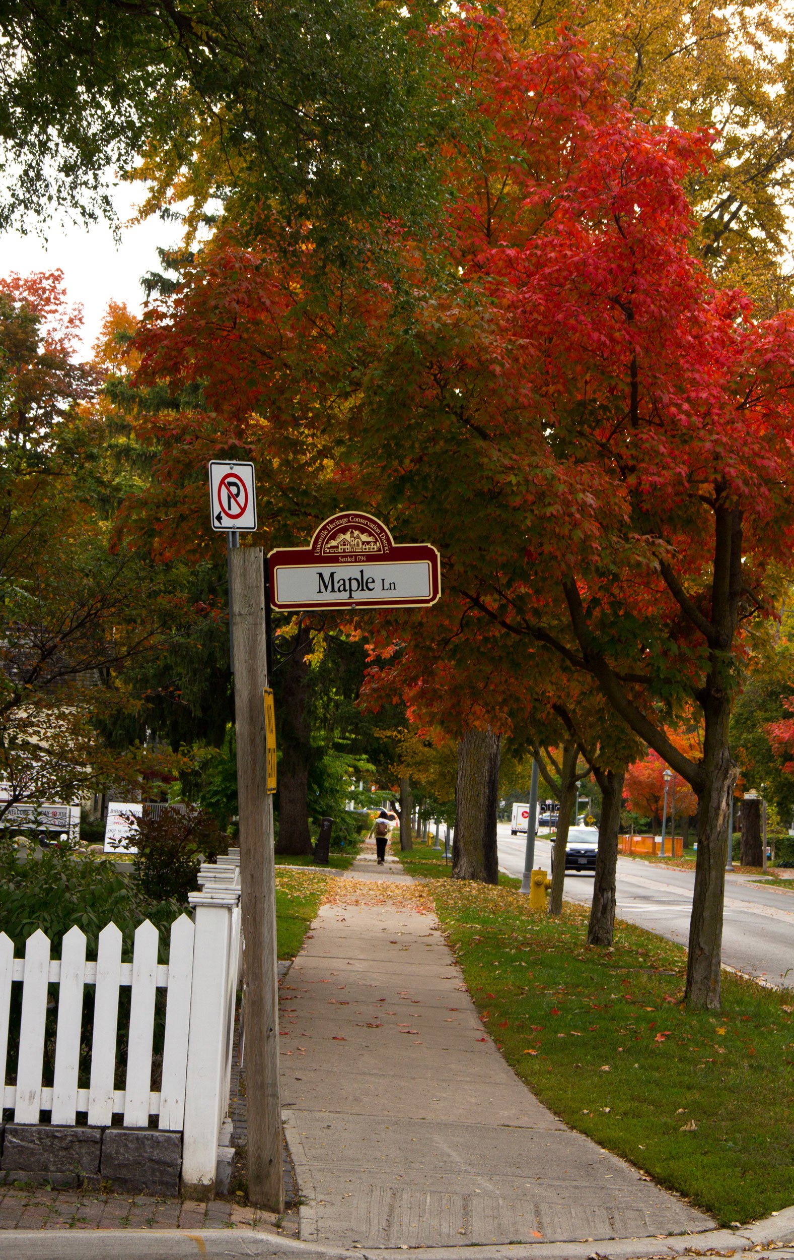 maple-lane-street-sign-in-unionville-ontario