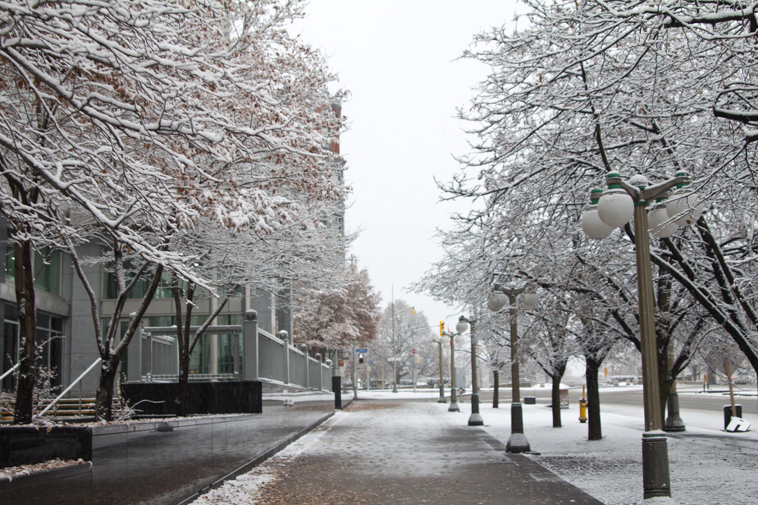 Ottawa-in-winter-rideau-hall-grounds