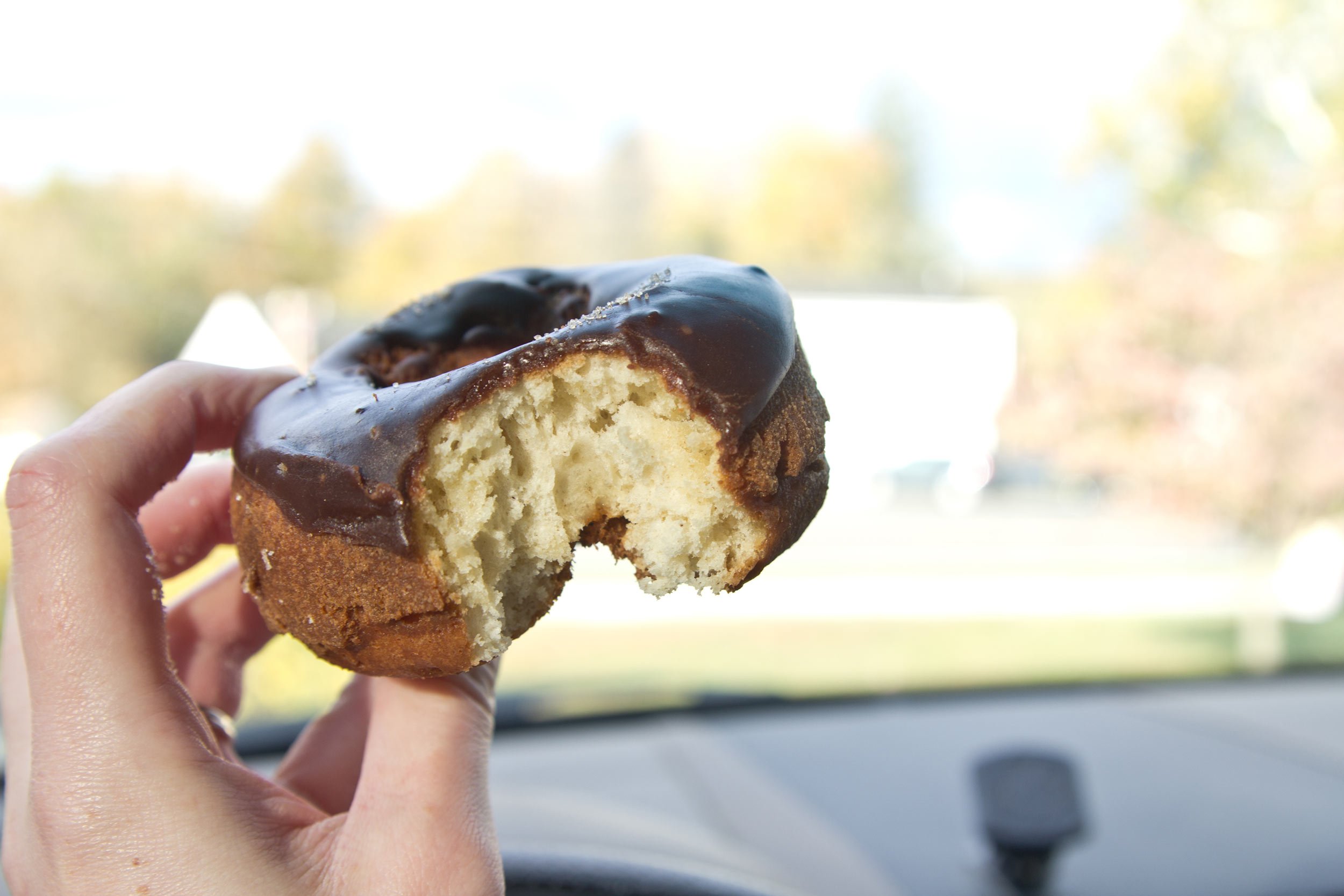 donut-from-dotties-diner-in-connecticut