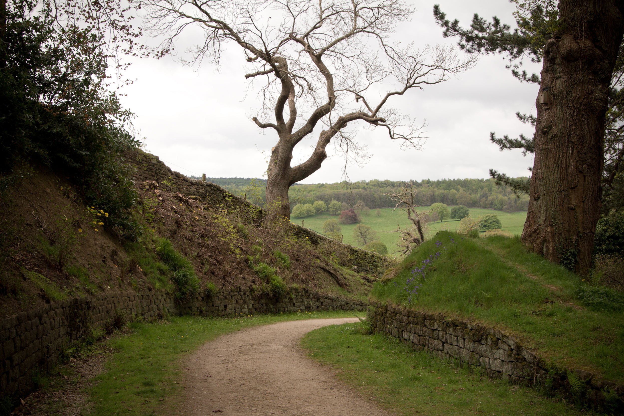 garden-pathway-outside-of-chatsworth-house