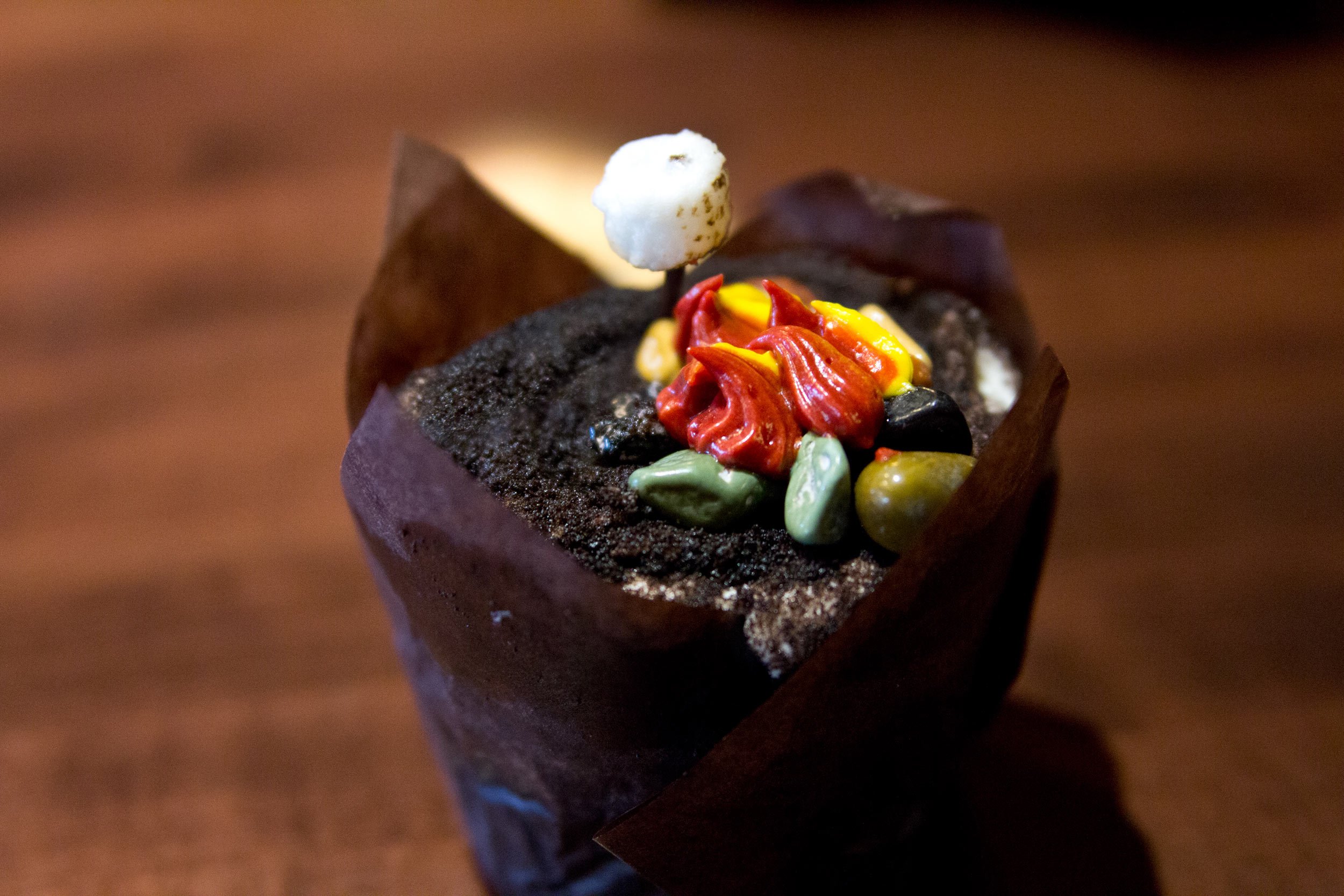 A-campfire-cupcake-from-disneys-Wilderness-Lodge