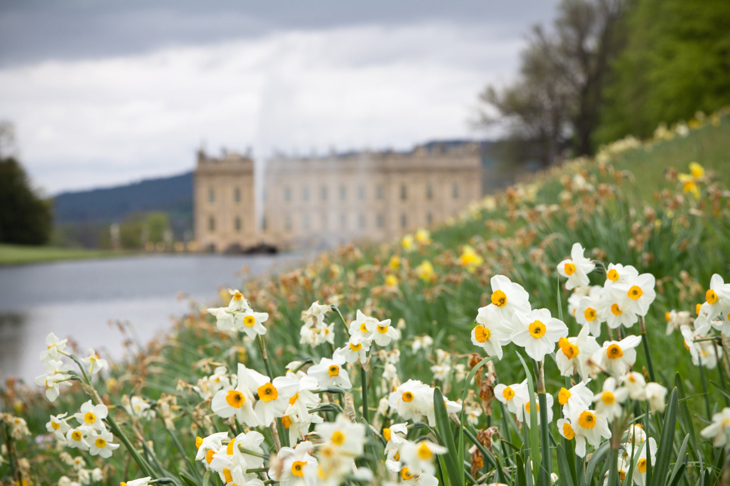 flowers-outside-of-chatsworth-house